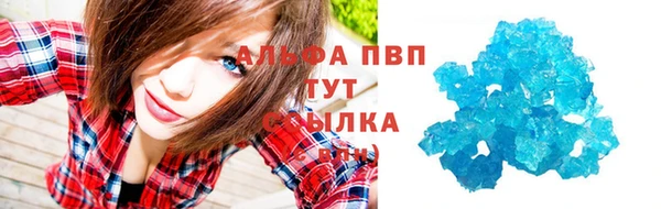 прущие грибы Богородск