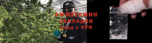 прущие грибы Богородск