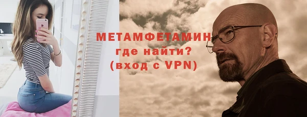 прущие грибы Богородск