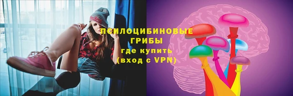 прущие грибы Богородск
