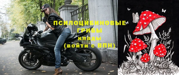 дмт Богданович