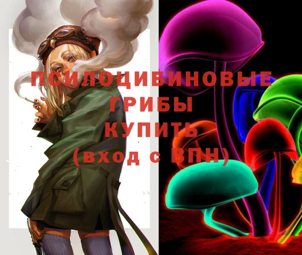 амфетамин Богородицк