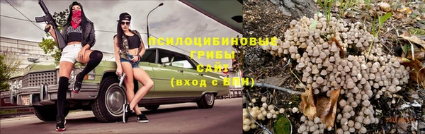 мяу мяу мука Бугульма
