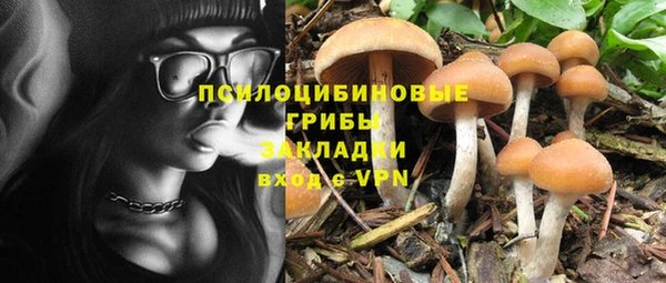 амфетамин Богородицк
