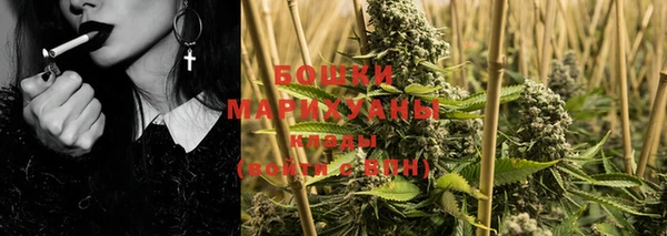 прущие грибы Богородск