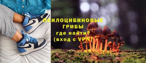 дмт Богданович