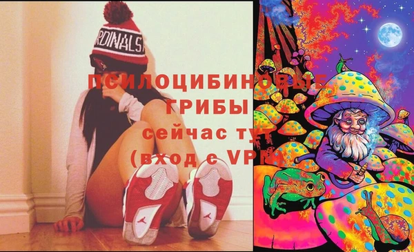 дмт Богданович