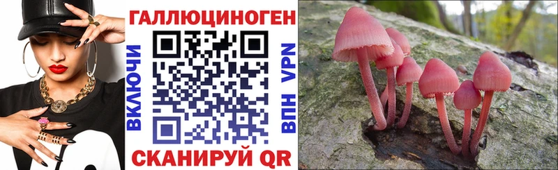 Галлюциногенные грибы мухоморы  Костерёво 